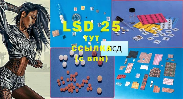 крисы Верея