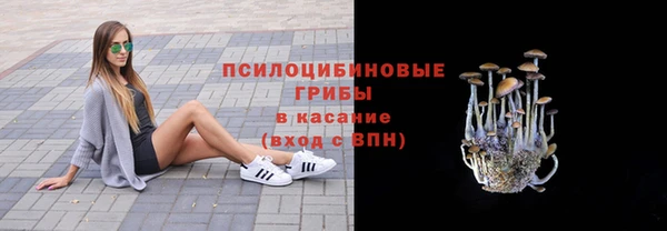 крисы Верея