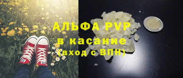 крисы Верея