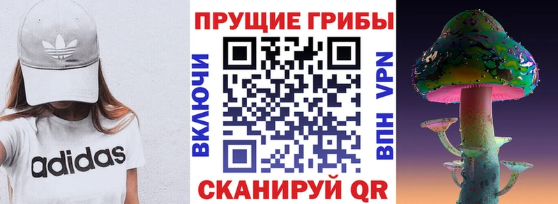 Псилоцибиновые грибы GOLDEN TEACHER  Выборг 