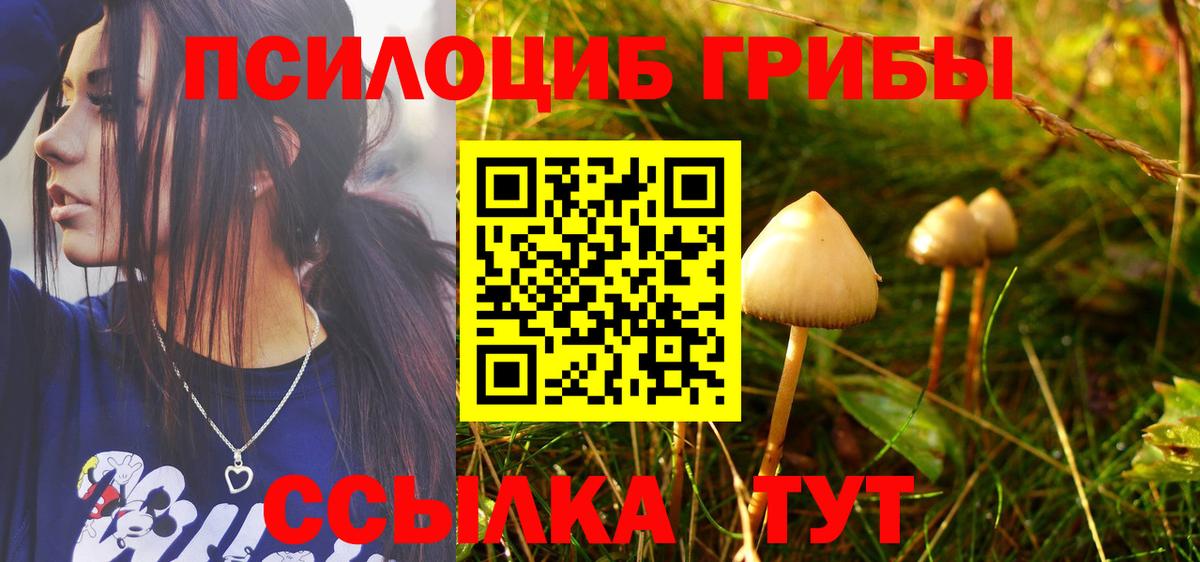 где купить наркотик  Вход с VPN  Выборг  Галлюциногенные грибы Psilocybine cubensis 